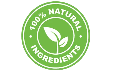 CogniSurge - natural ingredients